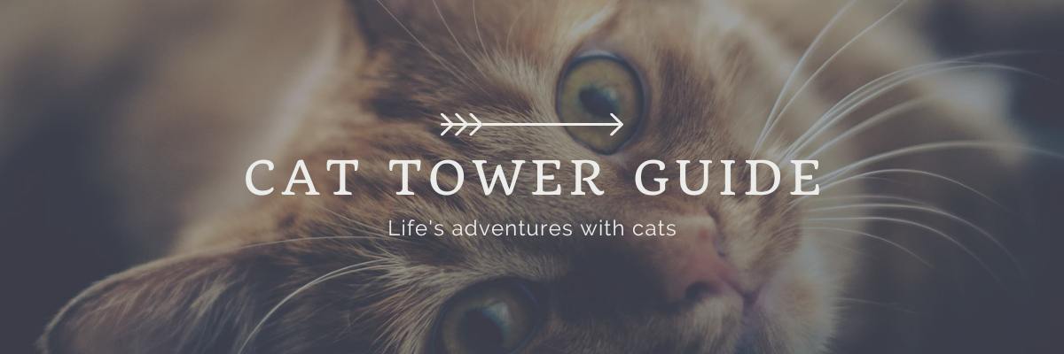 cattowerguide.com